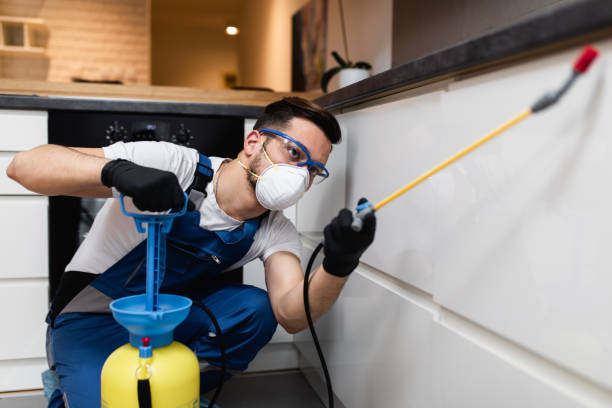 Best Local Pest Control Services  in Belton, SC
