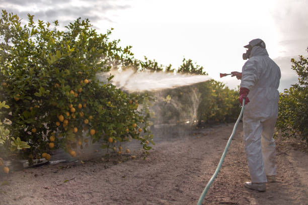 Best Residential Pest Control  in Belton, SC