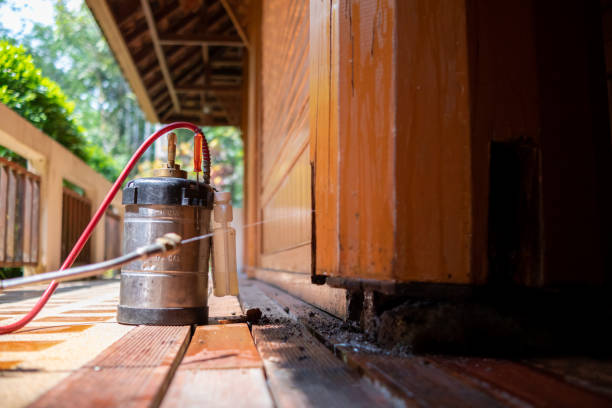 Best Best Pest Control Companies  in Belton, SC